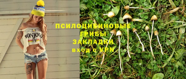 спиды Карпинск