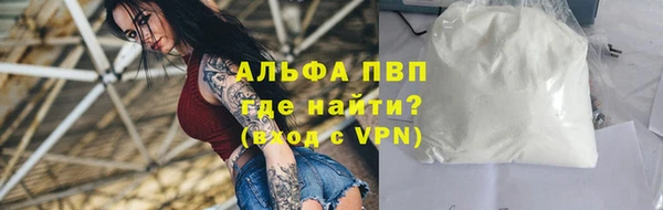 крисы Касимов